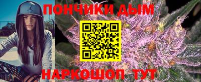 крисы Гатчина