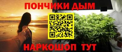 крисы Гатчина
