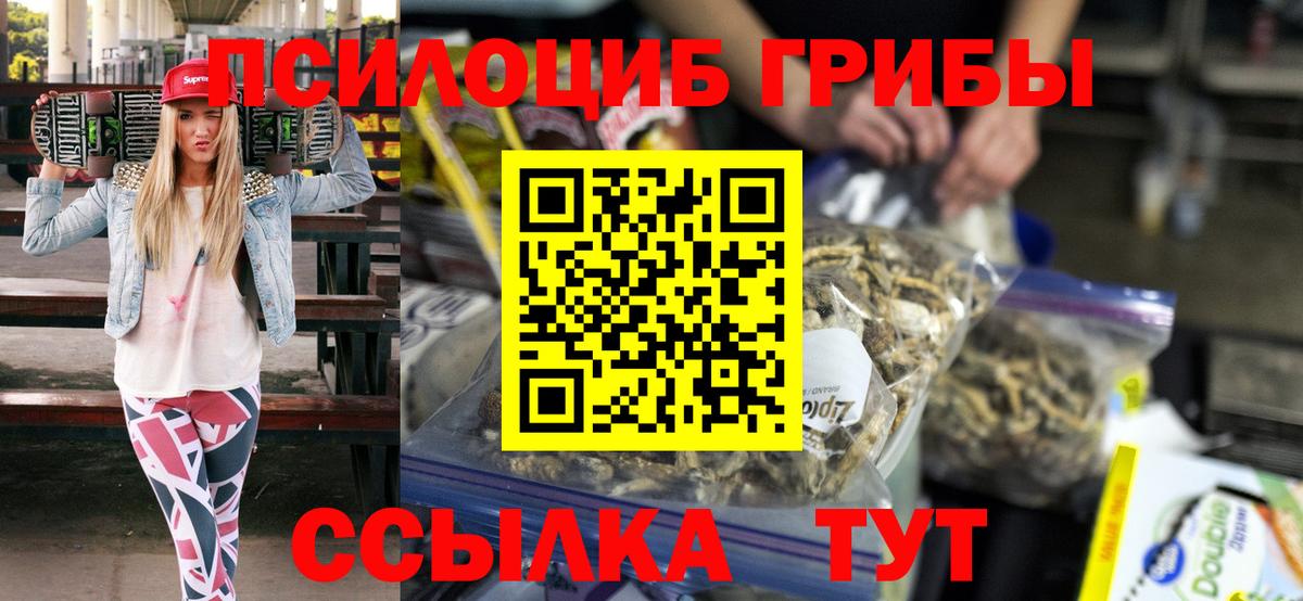 Галлюциногенные грибы Psilocybe  Вход с VPN  Новозыбков 