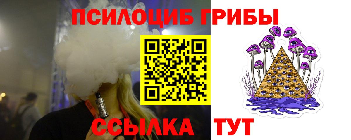 Галлюциногенные грибы мицелий Новозыбков