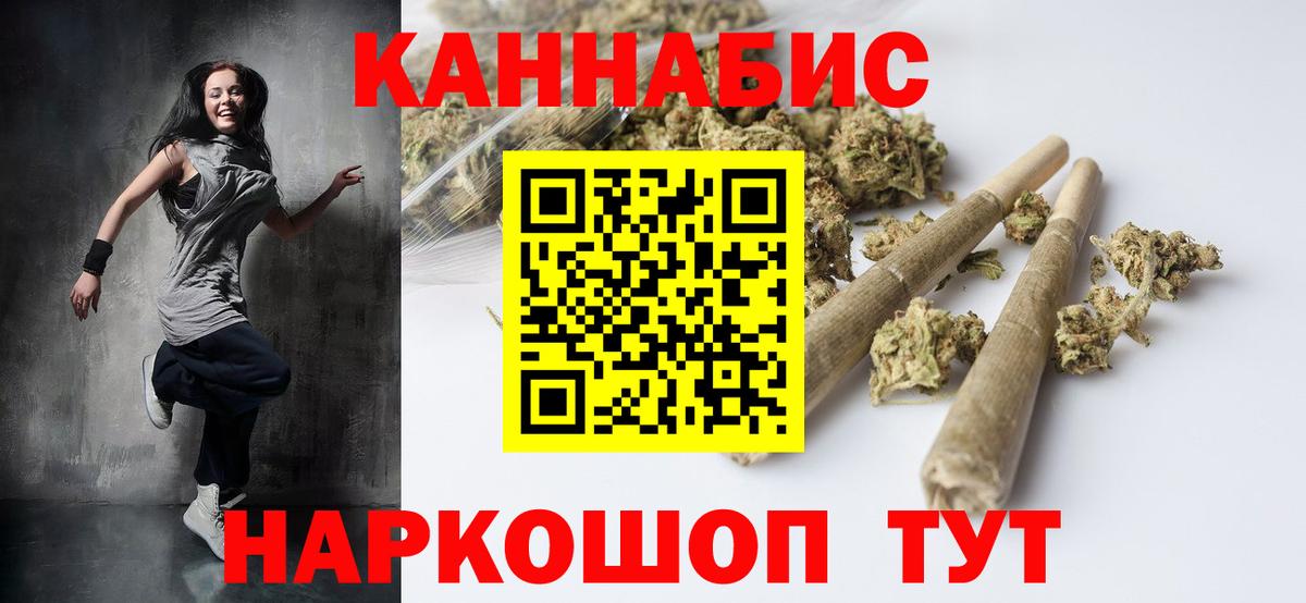 Бошки Шишки план Новозыбков