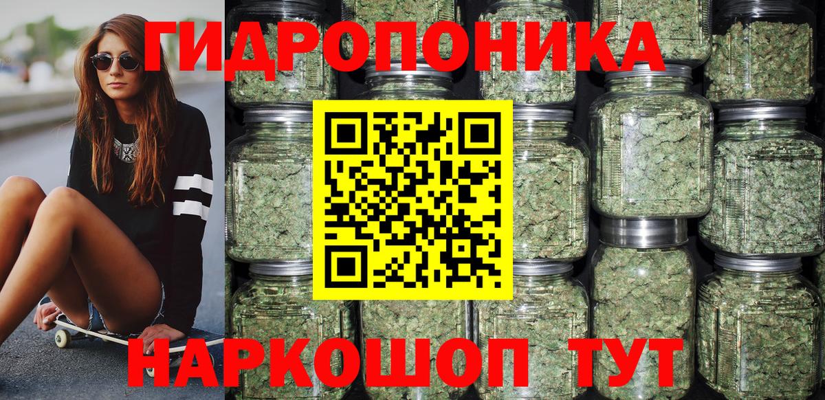 Новозыбков  Бошки марихуана White Widow  Марихуана ГИДРОПОН  Вход с VPN 